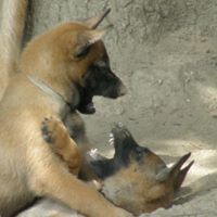 Elisabeth Hahn Photo 8