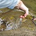 Michael Colegrove Photo 6