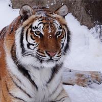 Deborah Link Photo 18