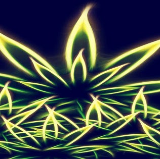 Joe Bridges Photo 31