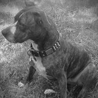 Kenneth Owen Photo 36