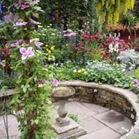 Lisa Mcmurray Photo 36