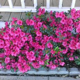 Leann Jones Photo 12