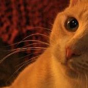 Ruth Mcintyre Photo 25