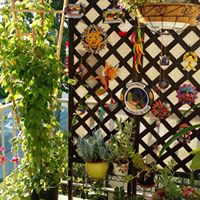 Lisa Krause Photo 40