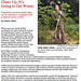 Jennifer Mckeown Photo 34