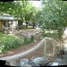 Karen Gifford Photo 41
