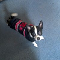 Robin Dockery Photo 20