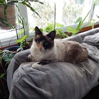 Frances Pickens Photo 2 Frances Pickens Photo 2