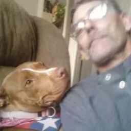 Mark Pfeffer Photo 15