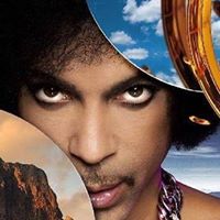 Paulette Patterson Photo 25