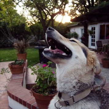 Zach Robinson Photo 29