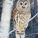 Sharon Griggs Photo 31