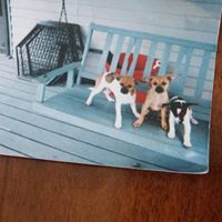 Carol Sheridan Photo 12