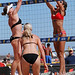 Pat Koester Photo 8