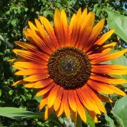 Elizabeth Beatty Photo 11