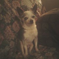 Randall Rich Photo 4