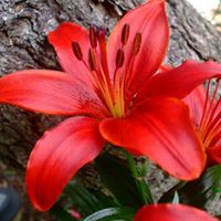 Margaret Roberts Photo 31