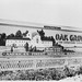 Wm Groves Photo 8