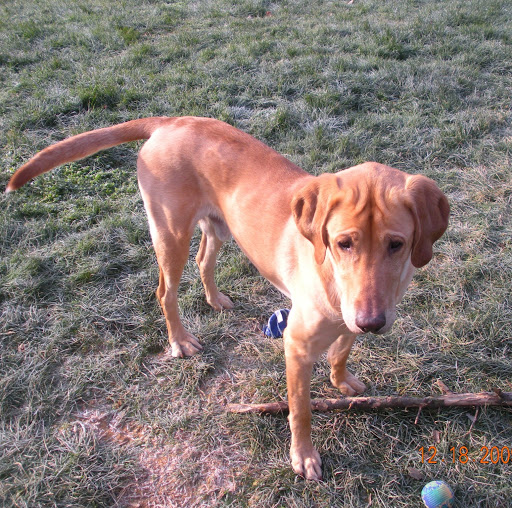 Ruby Wagner Photo 16