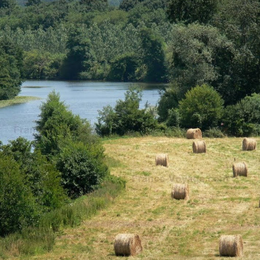 David Barone Photo 41