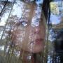Janet York Photo 18