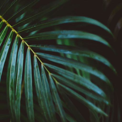 Ryan Sinclair Photo 7