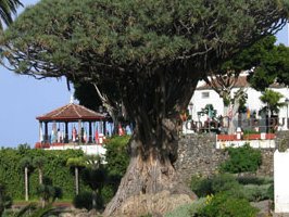 Jennifer Ramon Photo 8