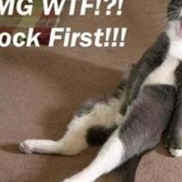 Joshua Groves Photo 16