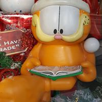 Julie Norcross Photo 7