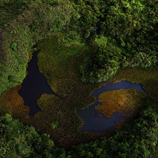 Kenneth Rodriguez Photo 14