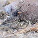 Dan Finch Photo 5