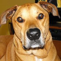 Frank Cameron Photo 18