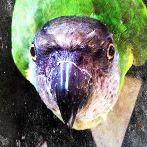 Steven Denman Photo 33