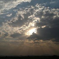 Bruce Albert Photo 36