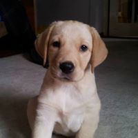 Isabel Santos Photo 16