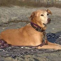 Tim Cassidy Photo 11