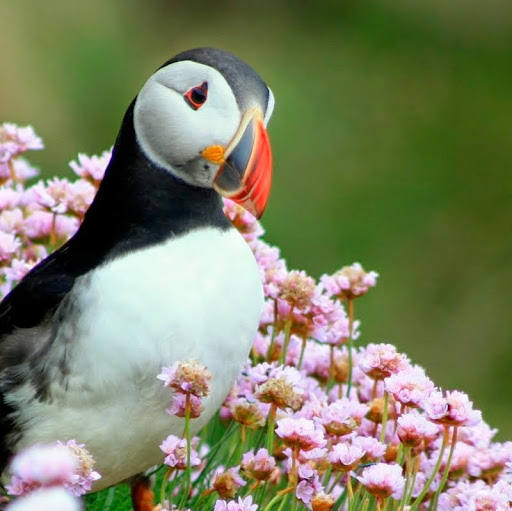 Eleanor Dunn Photo 37