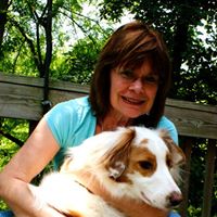 Kathy Seward Photo 16