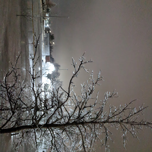 Shawn Dougherty Photo 31 Shawn Dougherty Photo 31