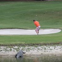 Patrick Rowland Photo 34