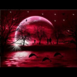 Sandra Parham Photo 23