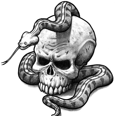 Rebecca Tucci Photo 6