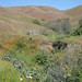 April Ridge Photo 6