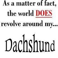 Cheryl Singleton Photo 25