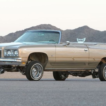 David Garrison Photo 16