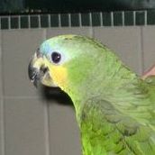 Cecelia Mccarthy Photo 6