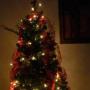 Cathy Simon Photo 7