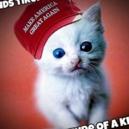 Erica Jackson Photo 7