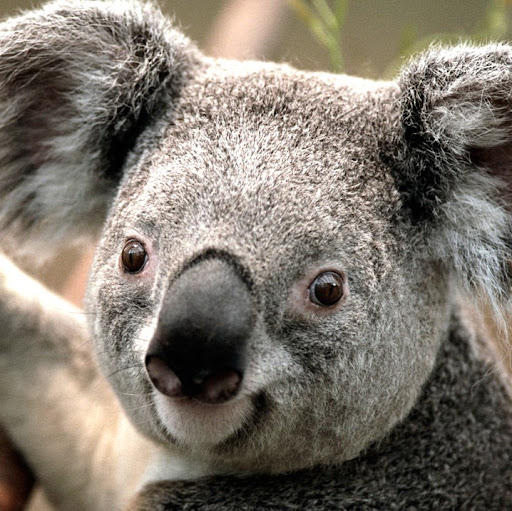 Lucy Hopkins Photo 16